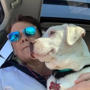 Meet your Posher, Lynn